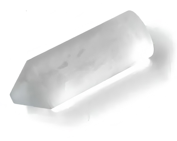 小鼠模型 4 小鼠模型 4